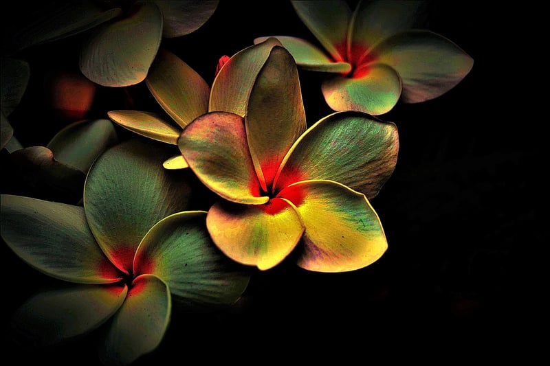 Fire abstract image