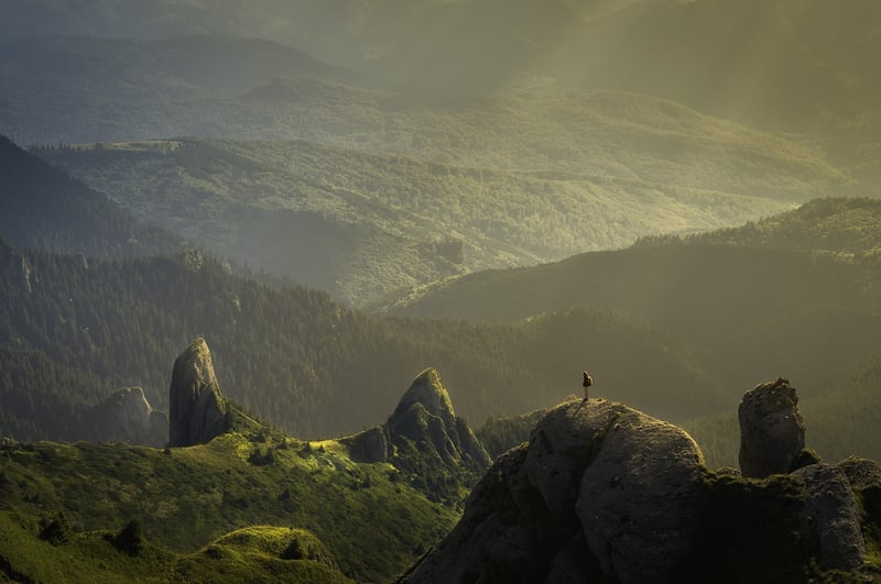 Explore and Chase Your Dreams
